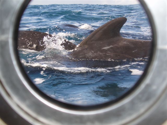 The place to eavesdrop was below decks...